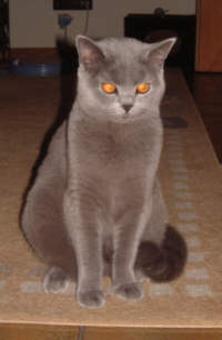 Ebby