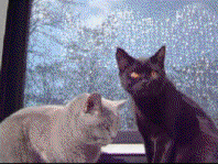 Ebby_AmorGif